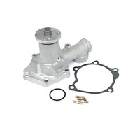US9389 Water Pump