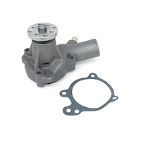 US960 Water Pump