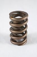 1200 Series Circle Track Valve Springs, Spring OD: 1.244
