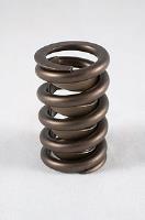 Street Performance Valve Springs Spring OD: 1.260
