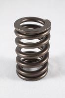 RPM 604 Crate Motor Cheater Valve Springs OD: 1.355