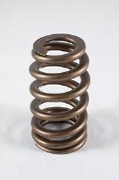 1200 Series Beehive Valve Spring Spring OD: 1.207