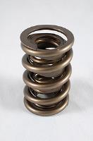 1200 Series Circle Track Valve Springs Spring OD: 1.539