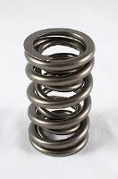 1200 Series Circle Track Valve Spring Spring OD: 1.550