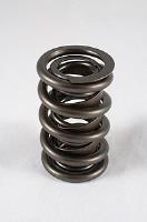 1200 Series Circle Track Valve Springs Spring OD: 1.539