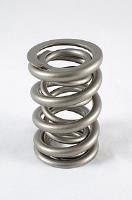 1300 Series Dual Valve Springs Spring OD: 1.625