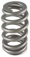 RPM Series Beehive Single Valve Spring
