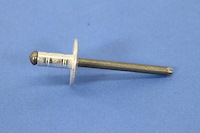 RIVET BLIND BULB
