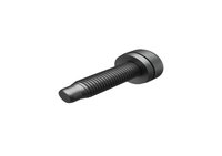 SCREW TORX