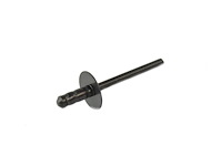 RIVET