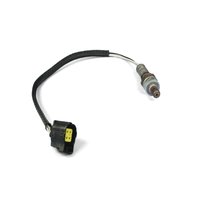 SENSOR OXYGEN