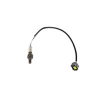 SENSOR OXYGEN