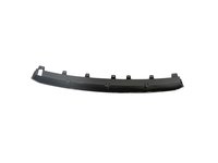 APPLIQUE FASCIA