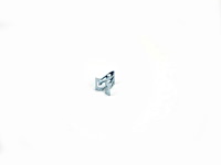 CLIP