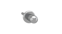 RIVET