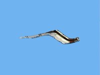 APPLIQUE FASCIA