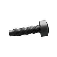 BOLT TORX