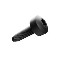 BOLT TORX