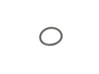 O RING
