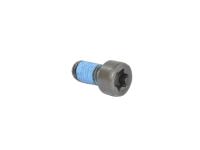 SCREW 6 LOBE RECESSD HEAD
