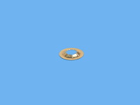 NUT