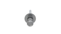RIVET