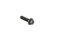 BOLT HEX FLANGE HEAD