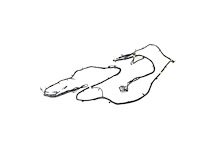 WIRING CHASSIS