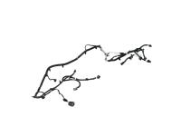 WIRING REAR FASCIA