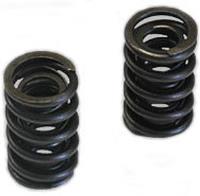 Valve Spring - Dual 1.295" O.D.
