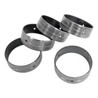 LS Next Engine Block Cam Bearings