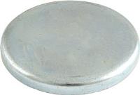 Cam Plug Rear of Block