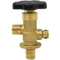 Replacement Bottle Valve