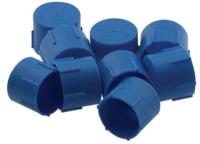 900802 Cap Fitting [-4 AN, Blue]
