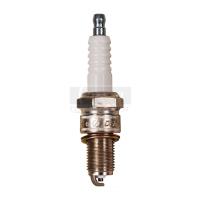 Spark Plug Standard