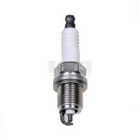 Spark Plug Standard