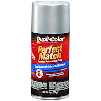 Perfect Match Touch-Up Paint Silver