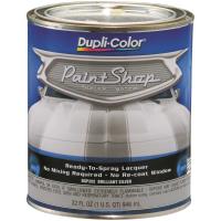 Paint Shop Paint Brilliant Silver