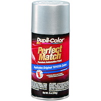 Perfect Match Touch-Up Paint Silver Streak Mica