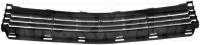 Bumper Center Grille