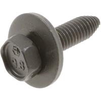 Body Bolts GM