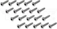 DOOR SCREWS