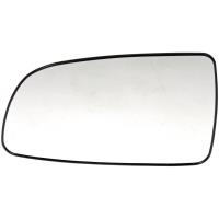 Replacement Glass - Plastic Backing
