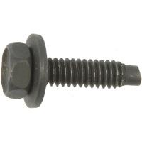 700-300 Body Bolt - 1/4-20 x 1 in.