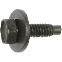 700-308 Body Bolt - 1/4-20 x 15/16 in.