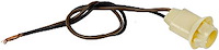 License Plate Sidemarker GM and Ford 2-wire