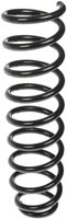 CS260055 Suspension Coil Spring; Mercedes-Benz