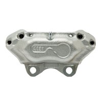 *CALIPER-SILVER ZINC