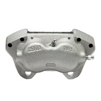 *CALIPER-SILVER ZINC