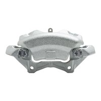 *CALIPER-SILVER ZINC